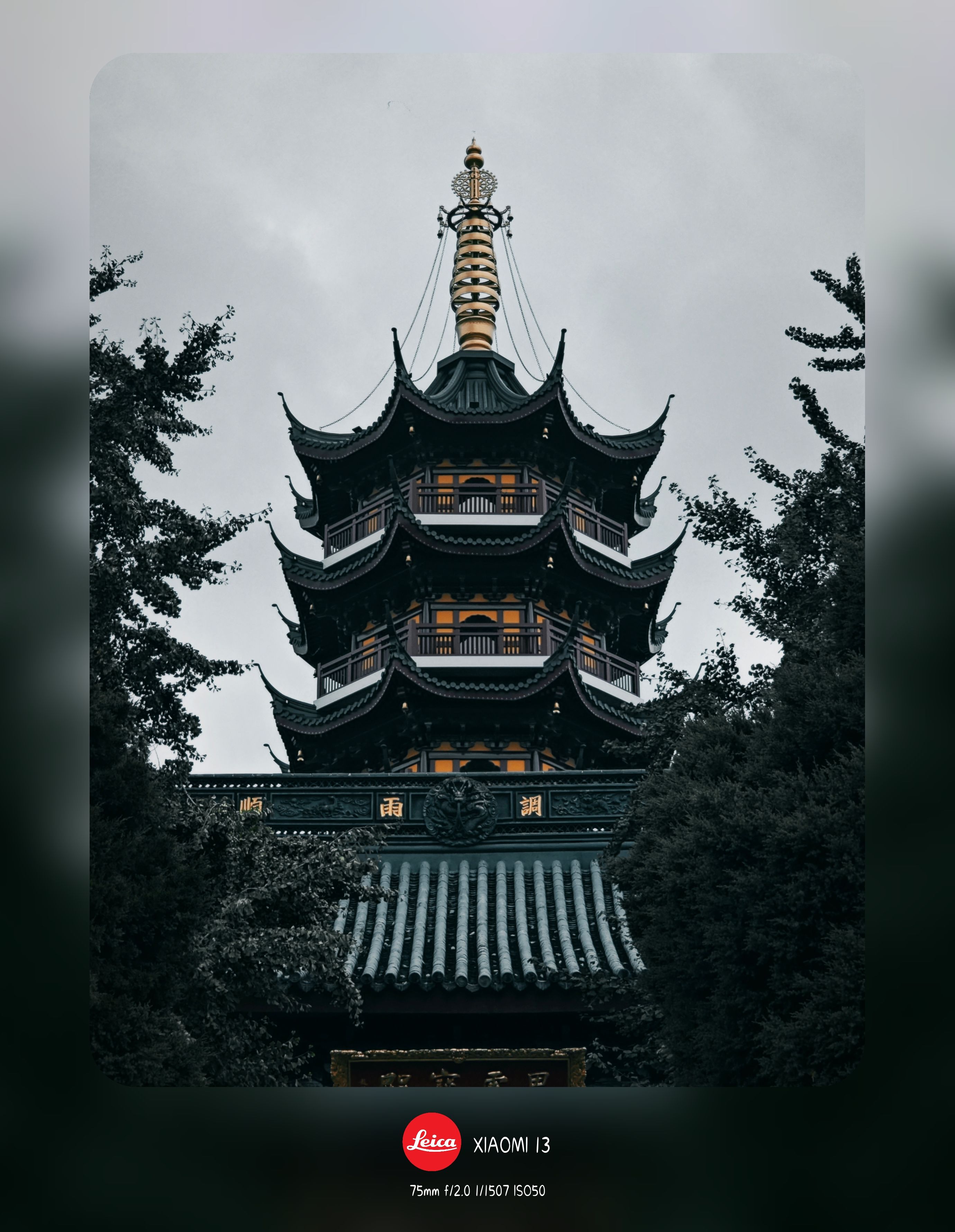 作品7